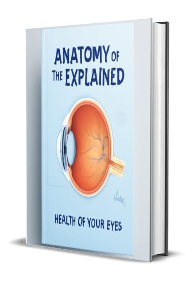 Anatomy of the Eye Explained: Health of Your Eyes — cover
